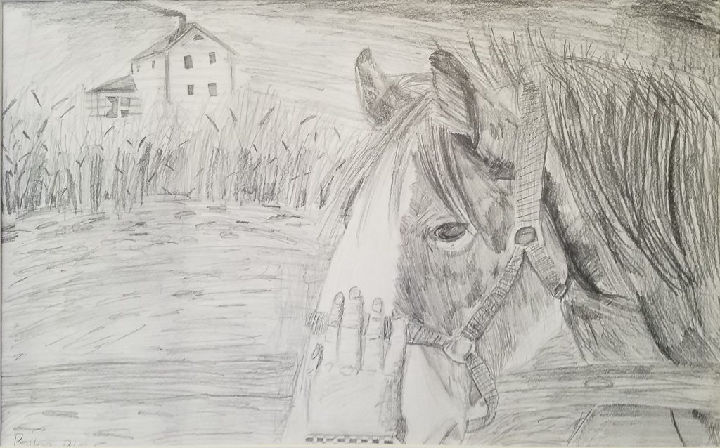 Drawing of Horse